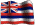  Hawaii Incorporation