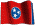  Tennessee Incorporation