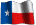  Texas Incorporation