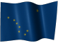 Alaska Limited Liability Company / Texas LLC