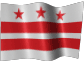District of Columbia Limited Liability Company / District of Columbia LLC