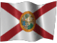 Florida Limited Liability Company / Texas LLC