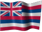 Hawaii Registered Agent Service
