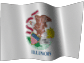 Illinois Limited Liability Company / Texas LLC