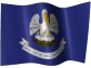 Louisiana Limited Liability Company / Texas LLC