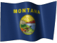 Montana Registered Agent Service