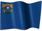 Nevada Limited Liability Company / Texas LLC