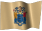 New Jersey Limited Liability Company / New Jersey LLC