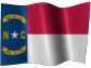North Carolina Limited Liability Company / Texas LLC