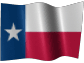 Texas Registered Agent Service