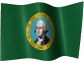 Washington Limited Liability Company / Washington LLC
