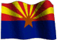 Arizona Limited Liability Company / Arizona LLC
