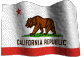 California Limited Liability Company / California LLC