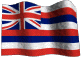 Hawaii Registered Agent Service