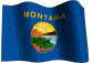 Montana Registered Agent Service