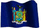 New York Limited Liability Company / 
 New York LLC