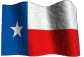 Texas Limited Liability Company / Texas LLC
