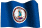 Virginia Registered Agent Service