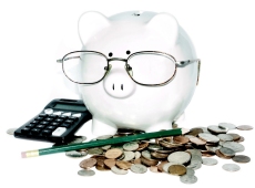 piggy bank - professional value
