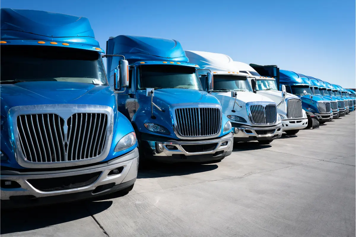 Row of commercial semi-trucks in a fleet lineup used for DOT compliance and trucking operations.