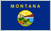 Montana Registered Agents